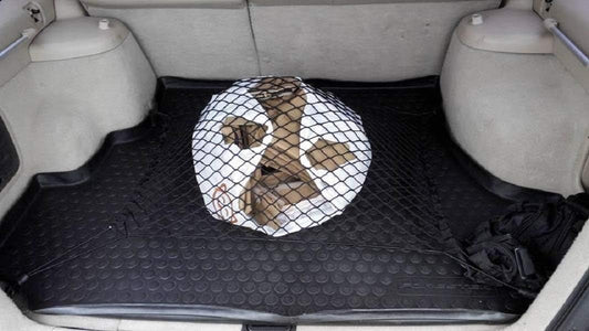 Floor Style Elastic Trunk Cargo Net for Subaru Forester